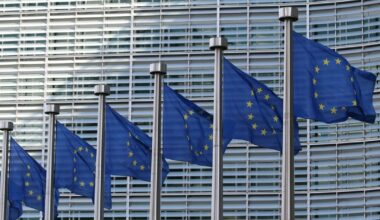 Europe and the New World (Dis)Order