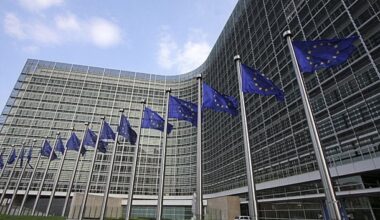 EU flags in front of the European Commission. Photo: EUD.