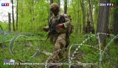 Exercice Otan XXL : en immersion avec les soldats français
