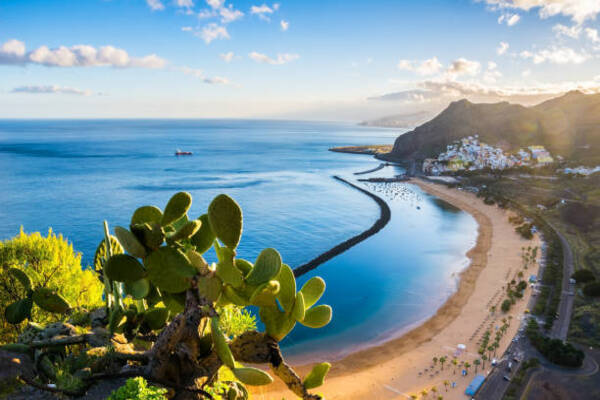 Spain’s Canary Islands Airport Crumbles Under Devastating Passport Control Meltdown Fueling Unprecedented Passenger Backlash