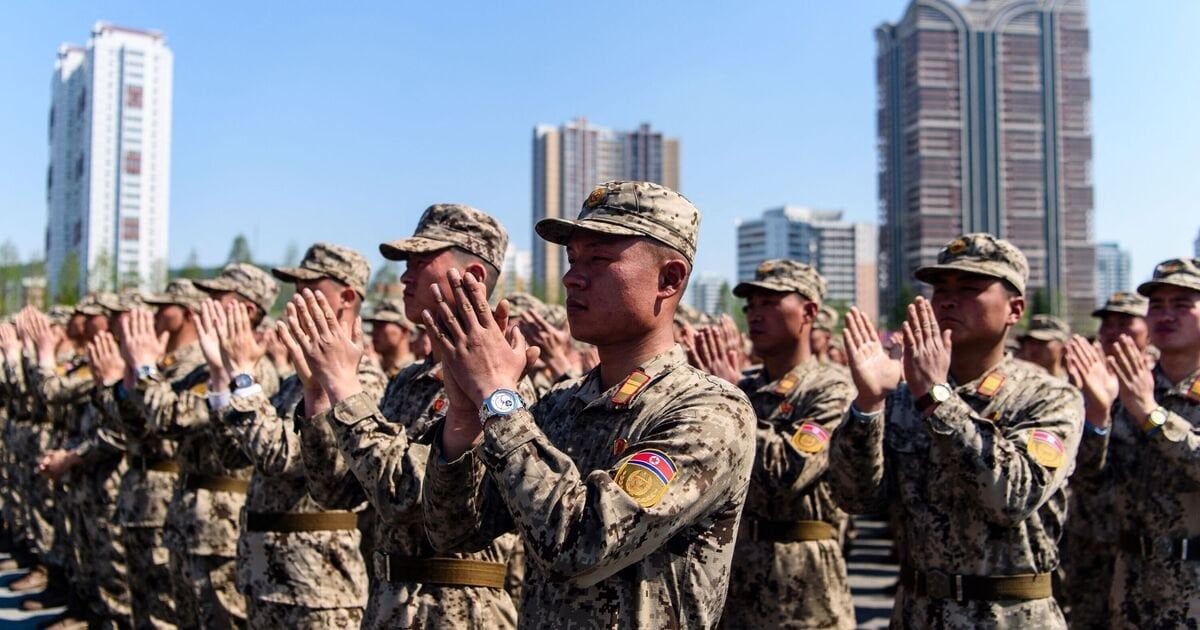 The staggering number of North Korean casualties in Russia’s war has finally surfaced