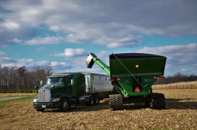Farmers weigh Trump’s trade war like they watch the weather, waiting to see how things go
