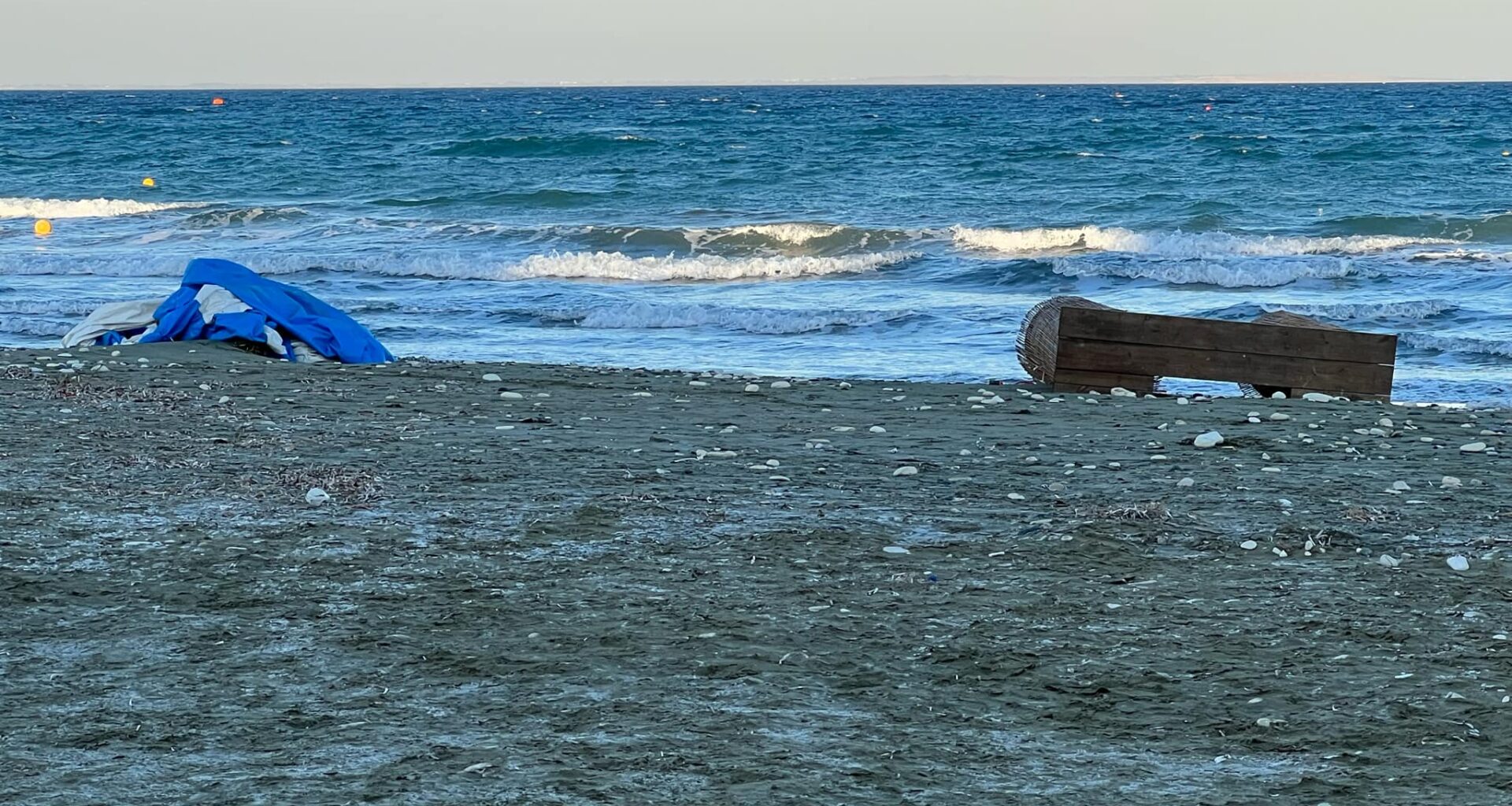 cover Dog beaches in Cyprus deemed inaccessible, says the animal party