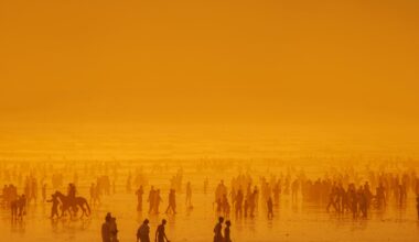 Earth is heading for 2.7°C warming this century. We may avoid the worst climate scenarios – but the outlook is still dire