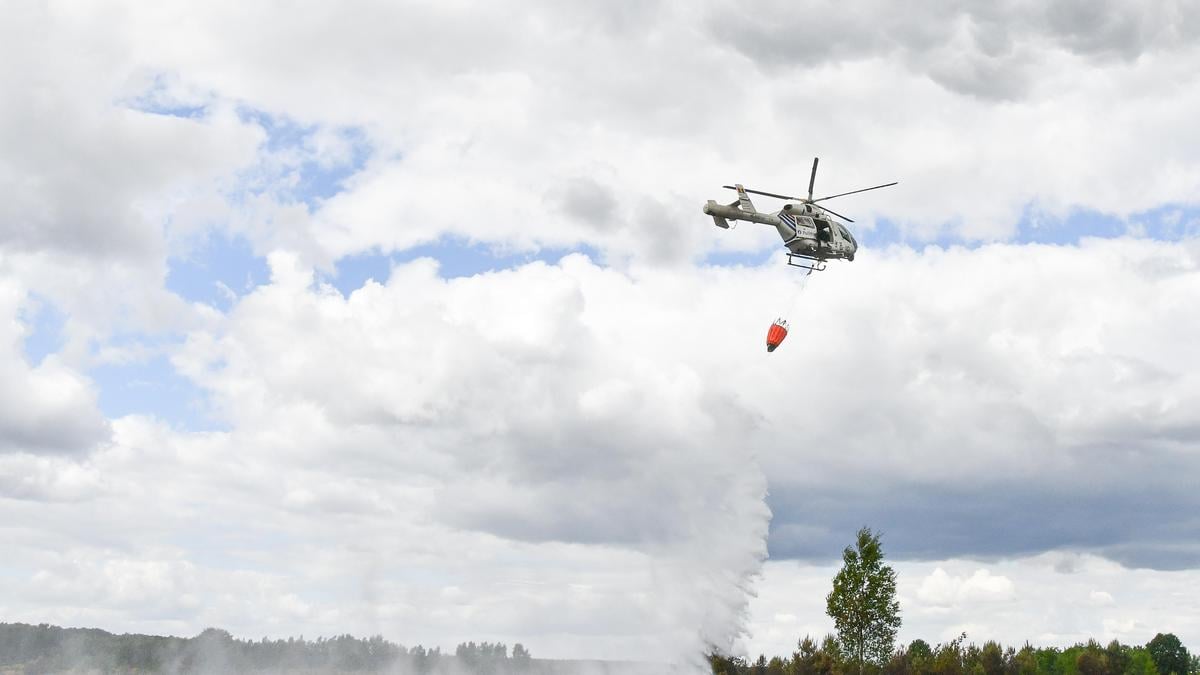 Brand in nationaal park Hoge Kempen is aangestoken, Agentschap Natuur en Bos stelt zich burgerlijke partij