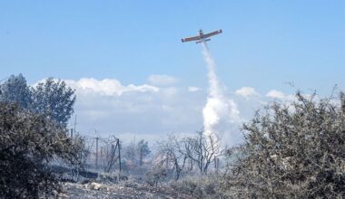 cover Cyprus records 28 forest fires in 2024