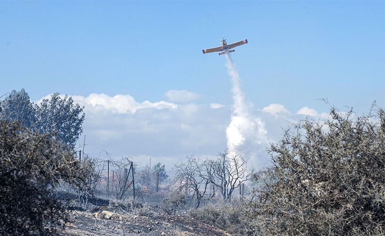 cover Cyprus records 28 forest fires in 2024