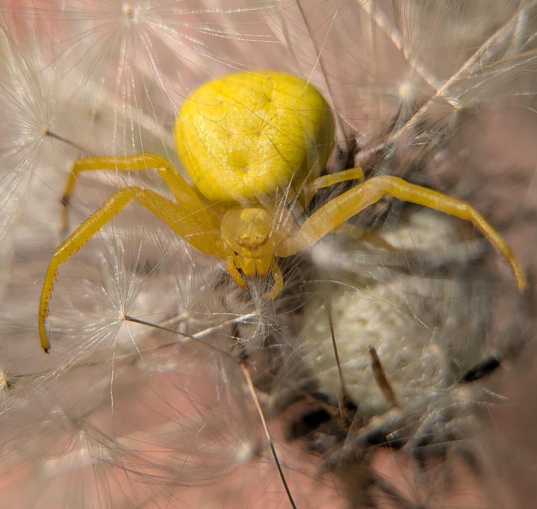 Farbwechsel vergessen?