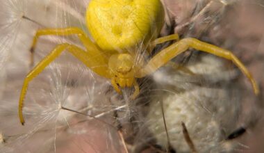 Farbwechsel vergessen?