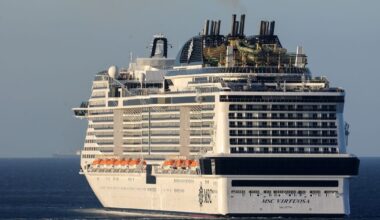 Cruise passenger killed after 'fight' on luxury liner was 'on stag do with pals'