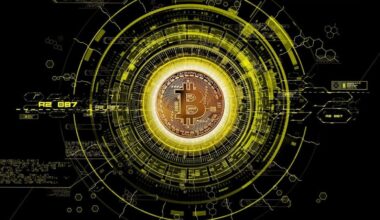 Crypto has become the ultimate swamp asset