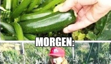 Immer das selbe mit Zucchini :)