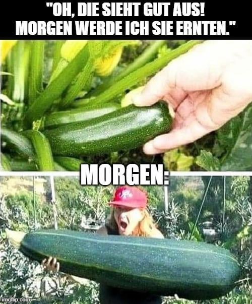 Immer das selbe mit Zucchini :)