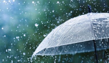 Alerte jaune en Wallonie et à Bruxelles pour cause d'orages: le numéro 1722 activé