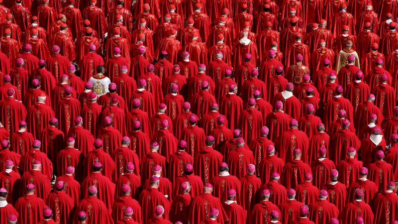 Cardinals at a crossroads: Rival camps emerge in battle over new pope