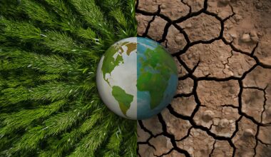 REP. MCCABE: ADN does Alaska a disservice with misleading story on permafrost-related damage