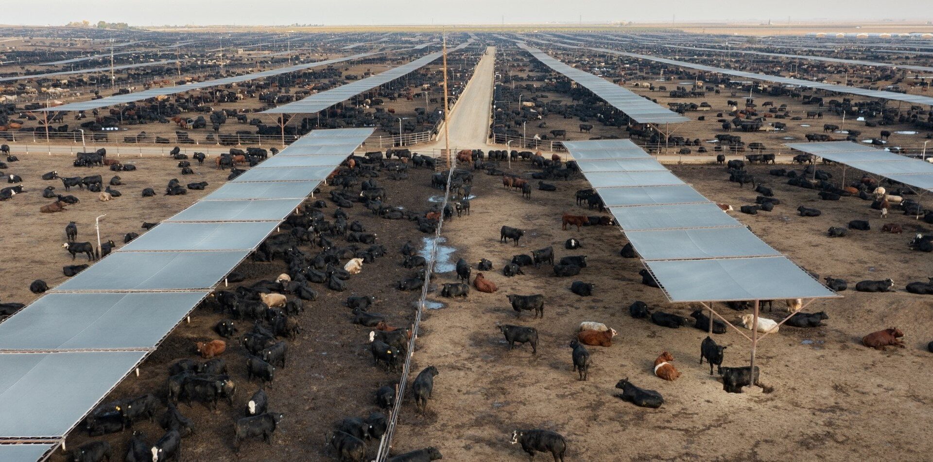 USDA subsidies: Where is the money going