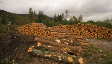 Land sector projected to increase its emissions by up to 95% as Ireland drifts from targets