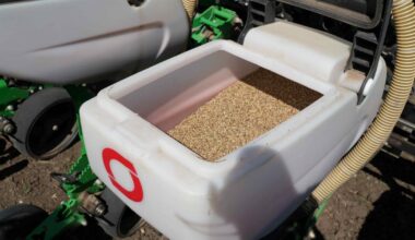 First Industrial Hemp Crops Sown In Moldova