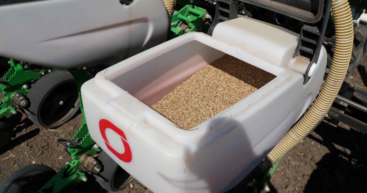 First Industrial Hemp Crops Sown In Moldova