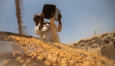 India offers US ‘deep’ tariff cuts, but shields grain and dairy markets