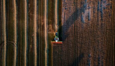 Farmers harvest a wheat field near the city of Bila Tserkva in Kyiv Oblast