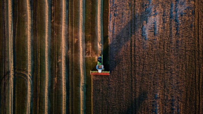 Farmers harvest a wheat field near the city of Bila Tserkva in Kyiv Oblast