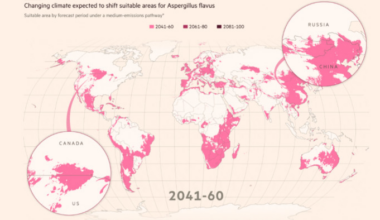 Killer fungi to spread as climate heats up