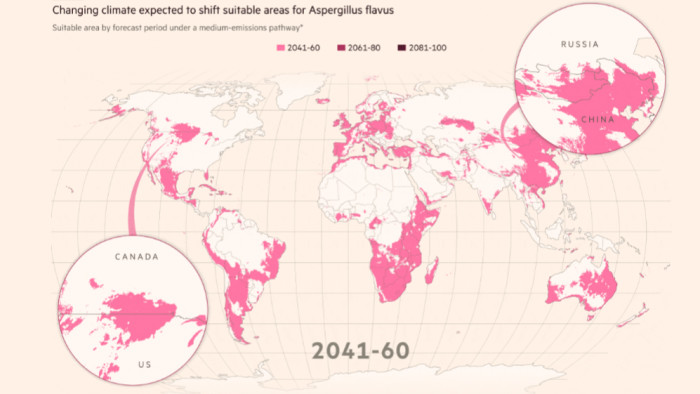 Killer fungi to spread as climate heats up