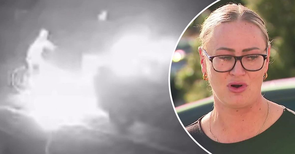 Single mum devastated as car torched just weeks after she paid it off