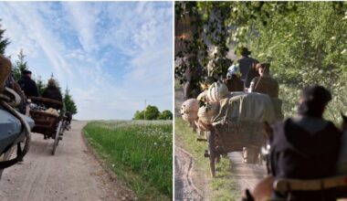 Per Lietuvą – žemaituko traukiamu vežimu: lietuviai leidžiasi į įspūdingą kelionę | Gyvenimas