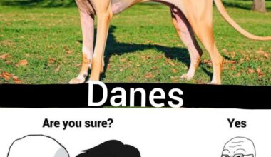 Know the difference