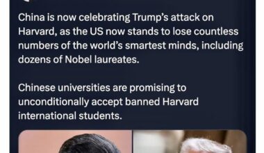 Do you know why Cheeto Pussygrabus McFelonius bullied Harvard? Because he doesn’t want smart people coming into the country—he only wants to keep the stupid ones here.