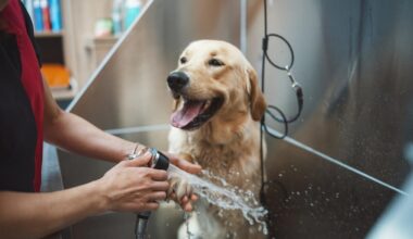 India’s booming pet care industry: Startup growth, Government support and ₹1.2 billion opportunity