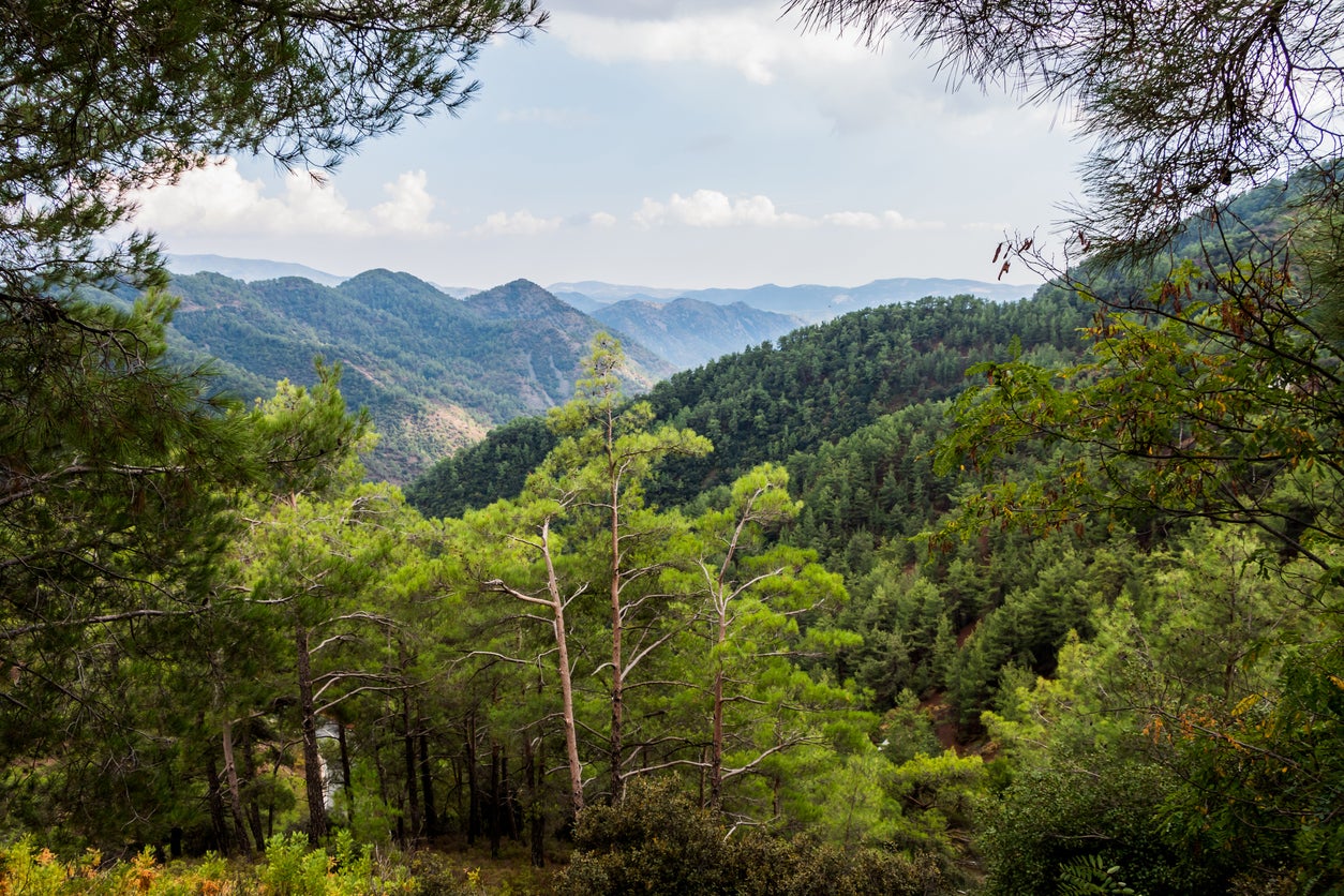 The highest point in the Troodos Mountains is Mount Olympus, at 1,952m