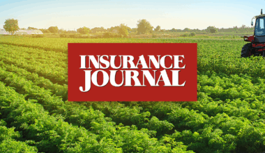 Europe’s Farm Sector Loses €28 Billion a Year From Climate Risks