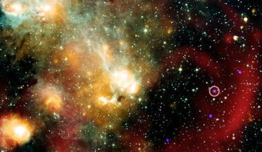 Weird Signals from Space Are ‘Unlike Any Known Galactic Object’