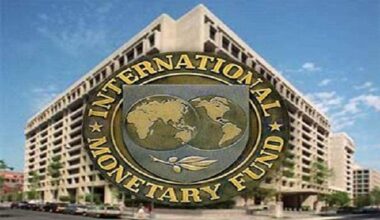 $3.4bn Loan: Falana Accuses FG, IMF Of Mismanagement, Demands Investigation