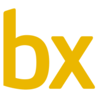 Logo Budimex S.A.