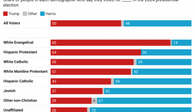 [OC] White Evangelicals were the largest voting block for Trump in 2024