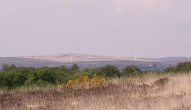 Taken in Penlan.