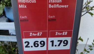 Some bargains to be had in Lidl today lads
