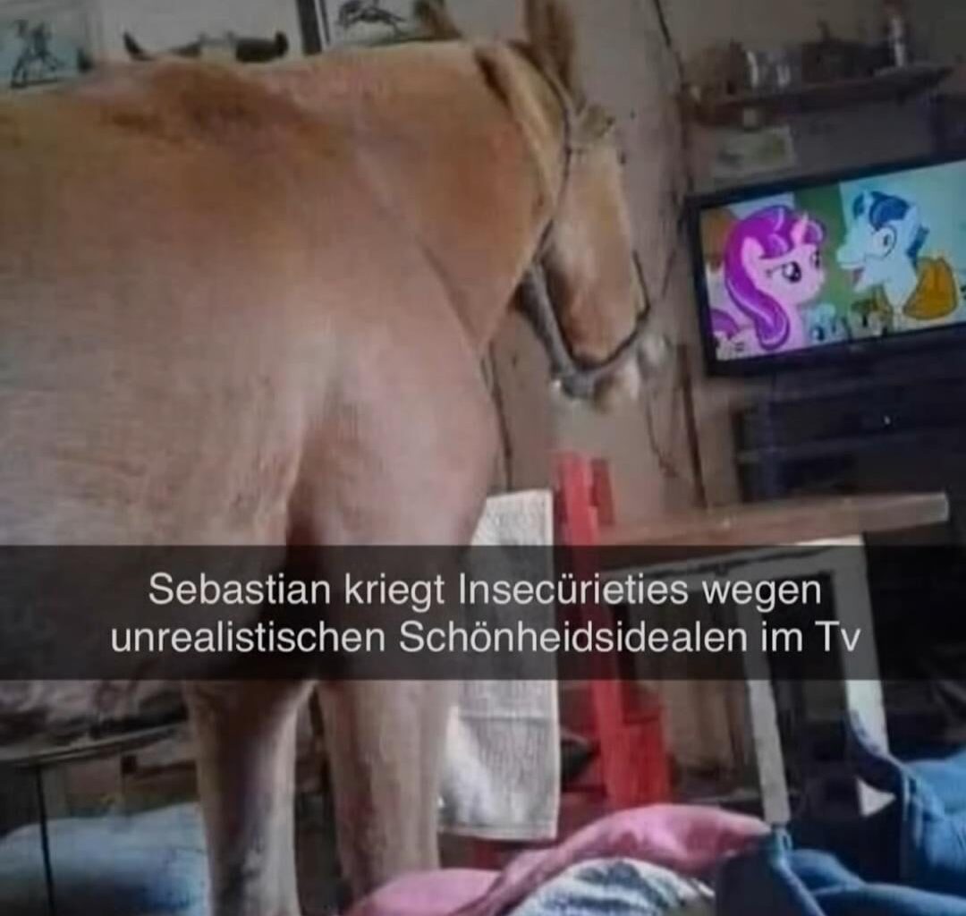 I refuse to believe german is a real language