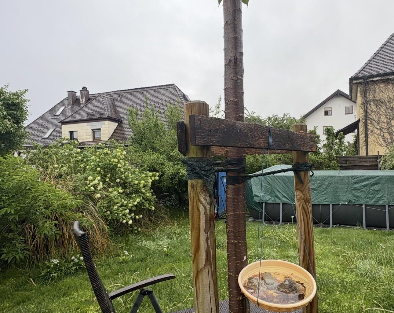 Sollen wir die Baumstützen schon weg tun?25 cm Umfang inzwischen