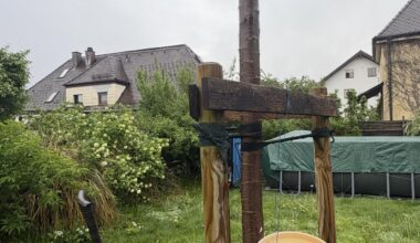 Sollen wir die Baumstützen schon weg tun?25 cm Umfang inzwischen