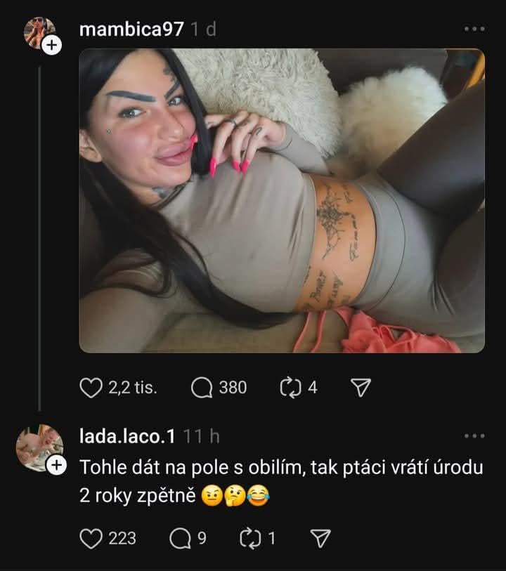 Kolik by si asi tak naúčtovala za stání v obilí