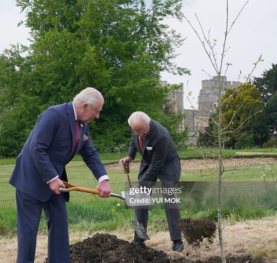Just a Couple of Kings and Queens Planting some Trees