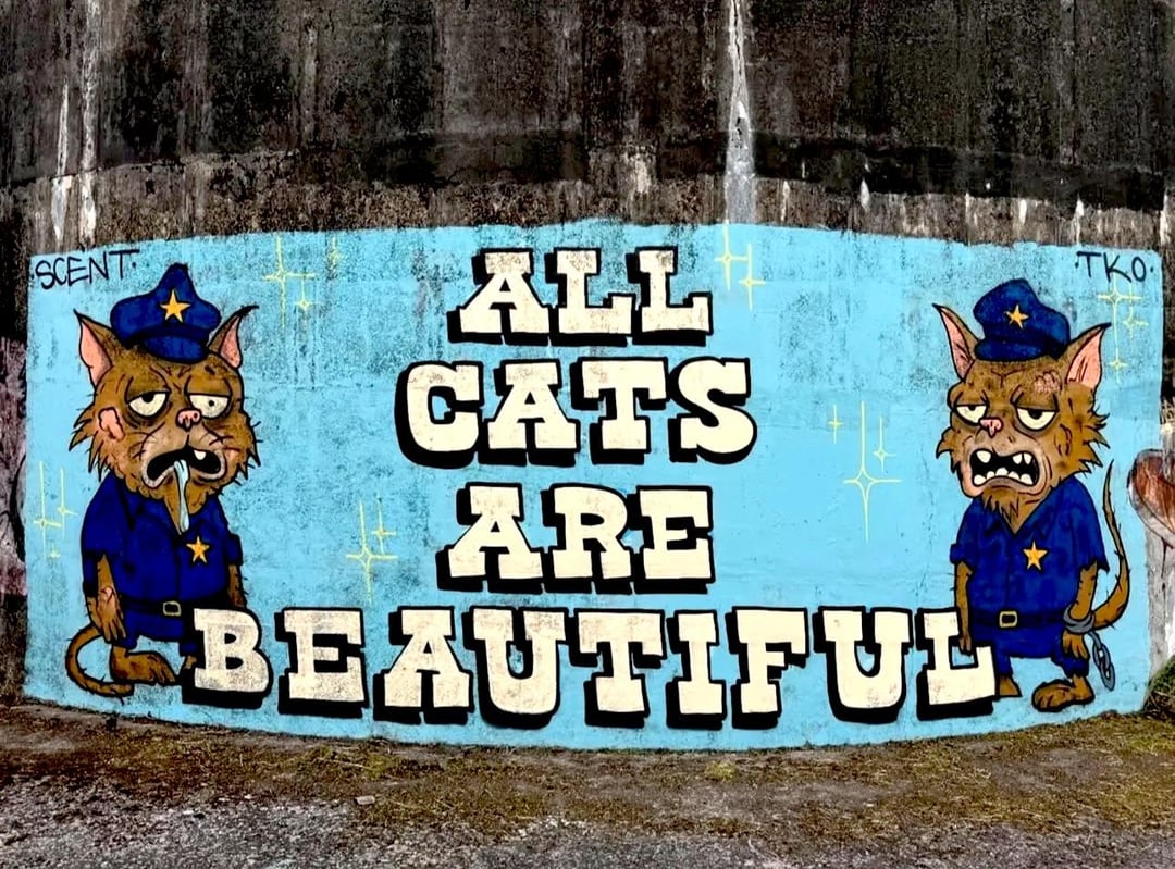 Spotted in Glasgow