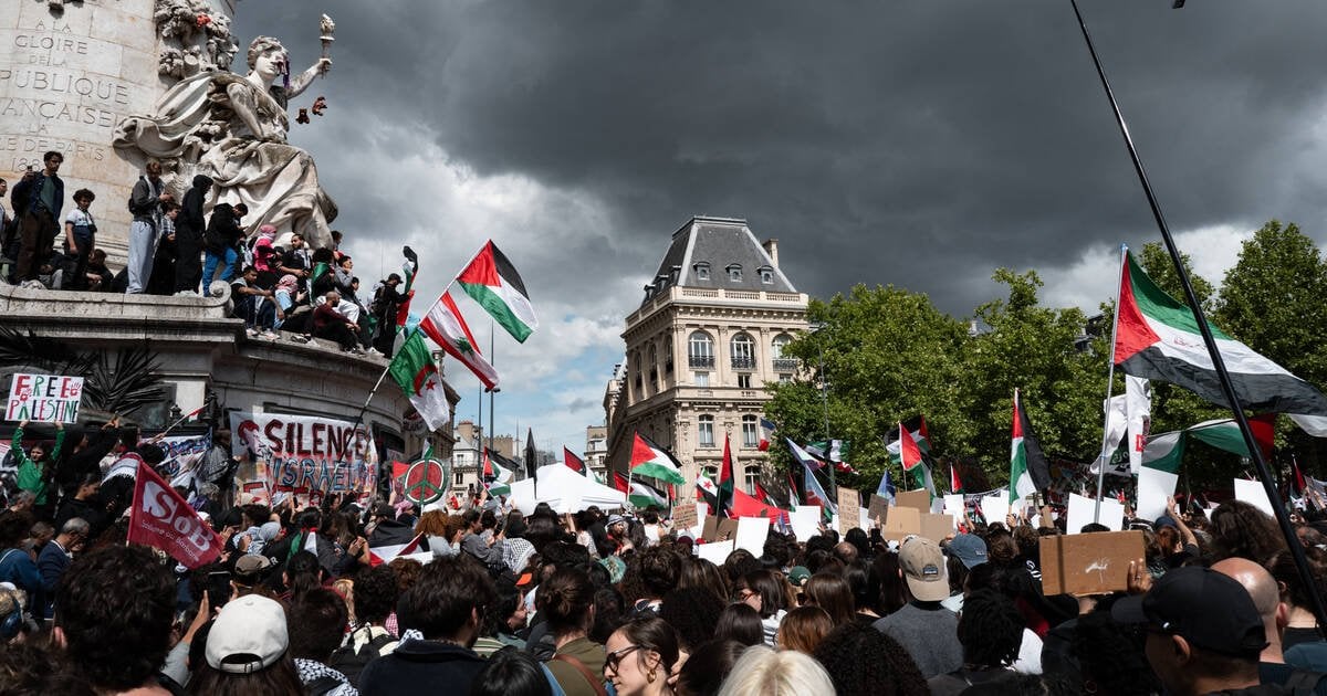 «Ce n’est pas une guerre c’est un génocide» : à Paris, un rassemblement pour dénoncer la situation humanitaire à Gaza