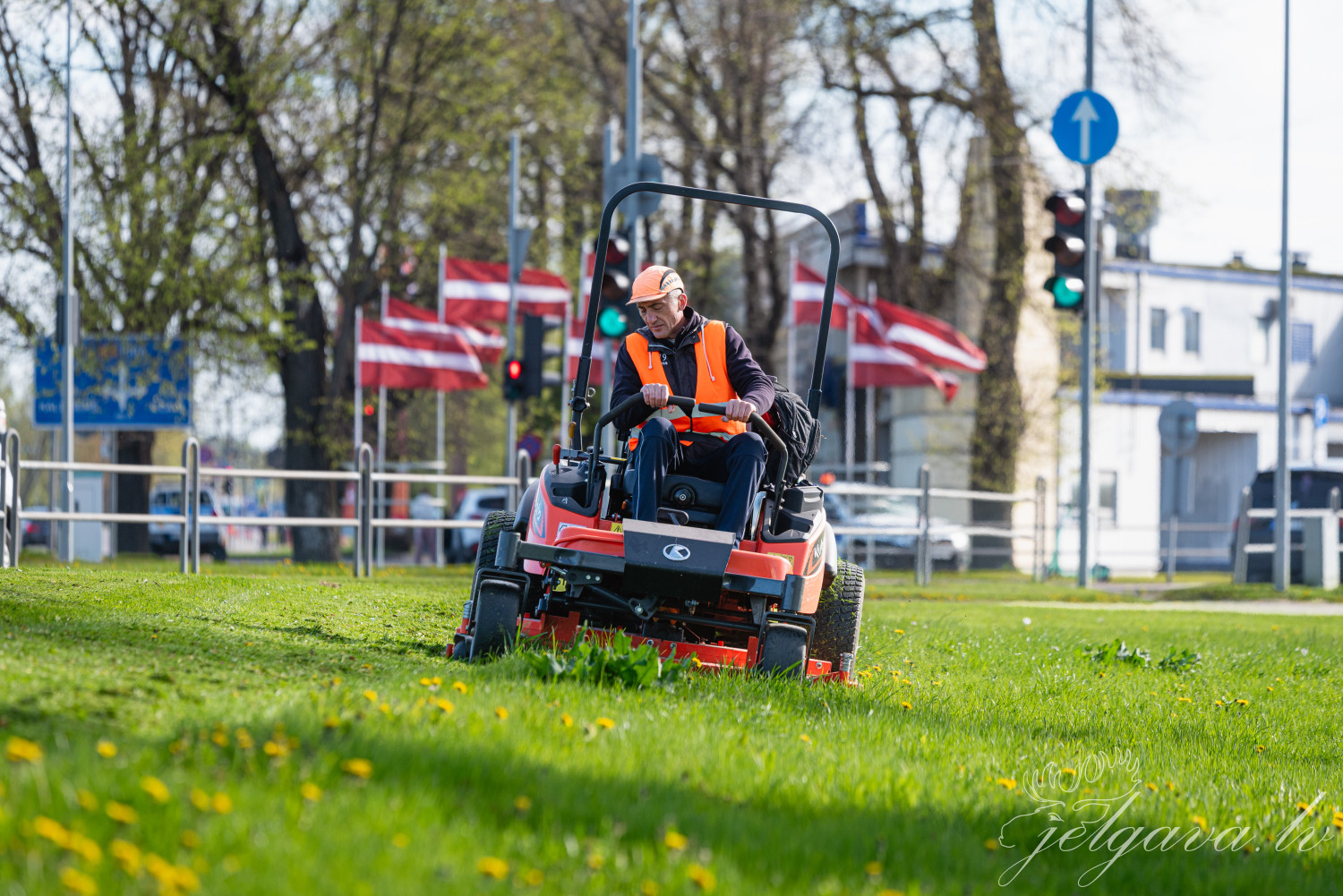 Sākusies zāles pļaušanas sezona; Pasta salā un pļavā pretim pilij arī šovasar pļauj roboti